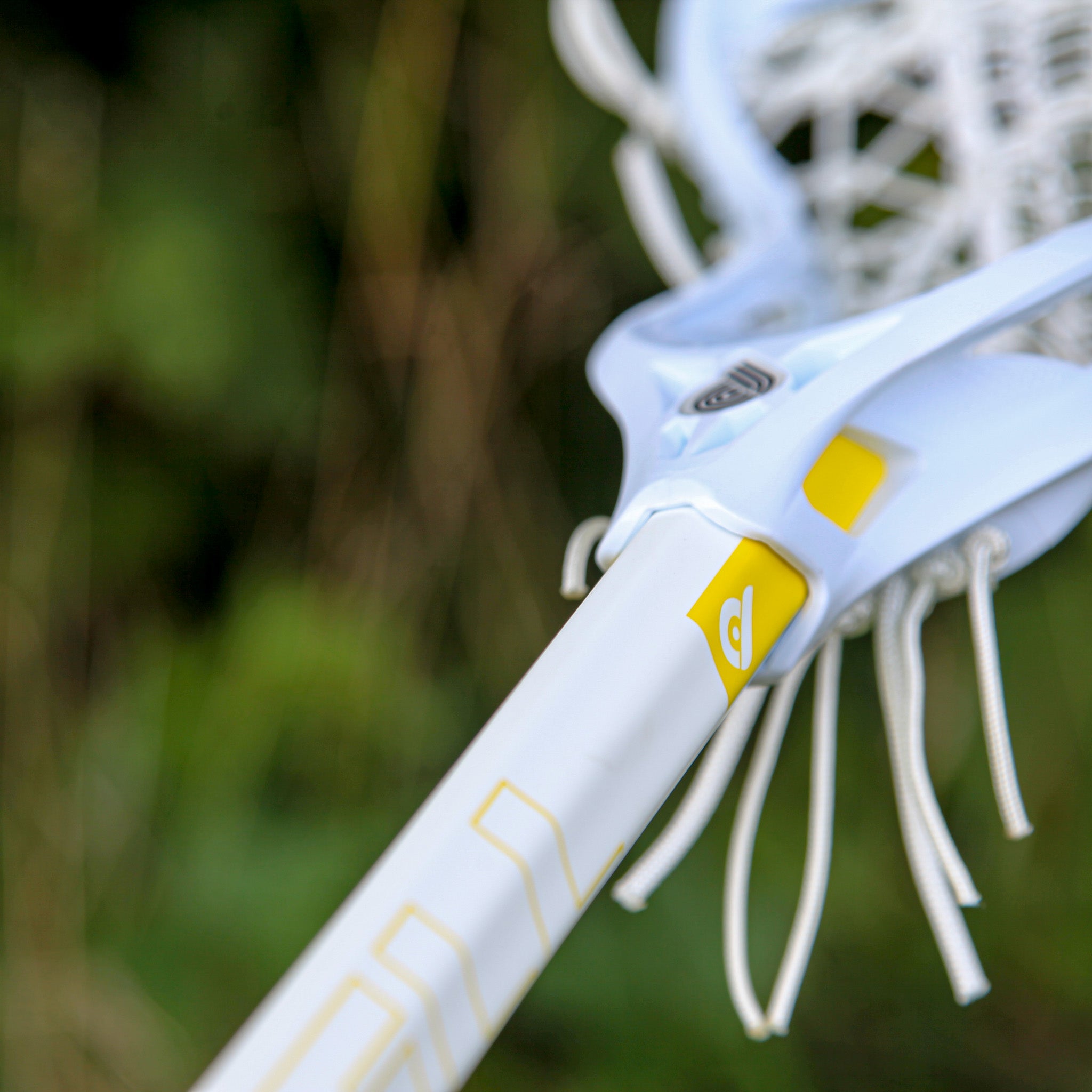 Pied Piper Women's Handle