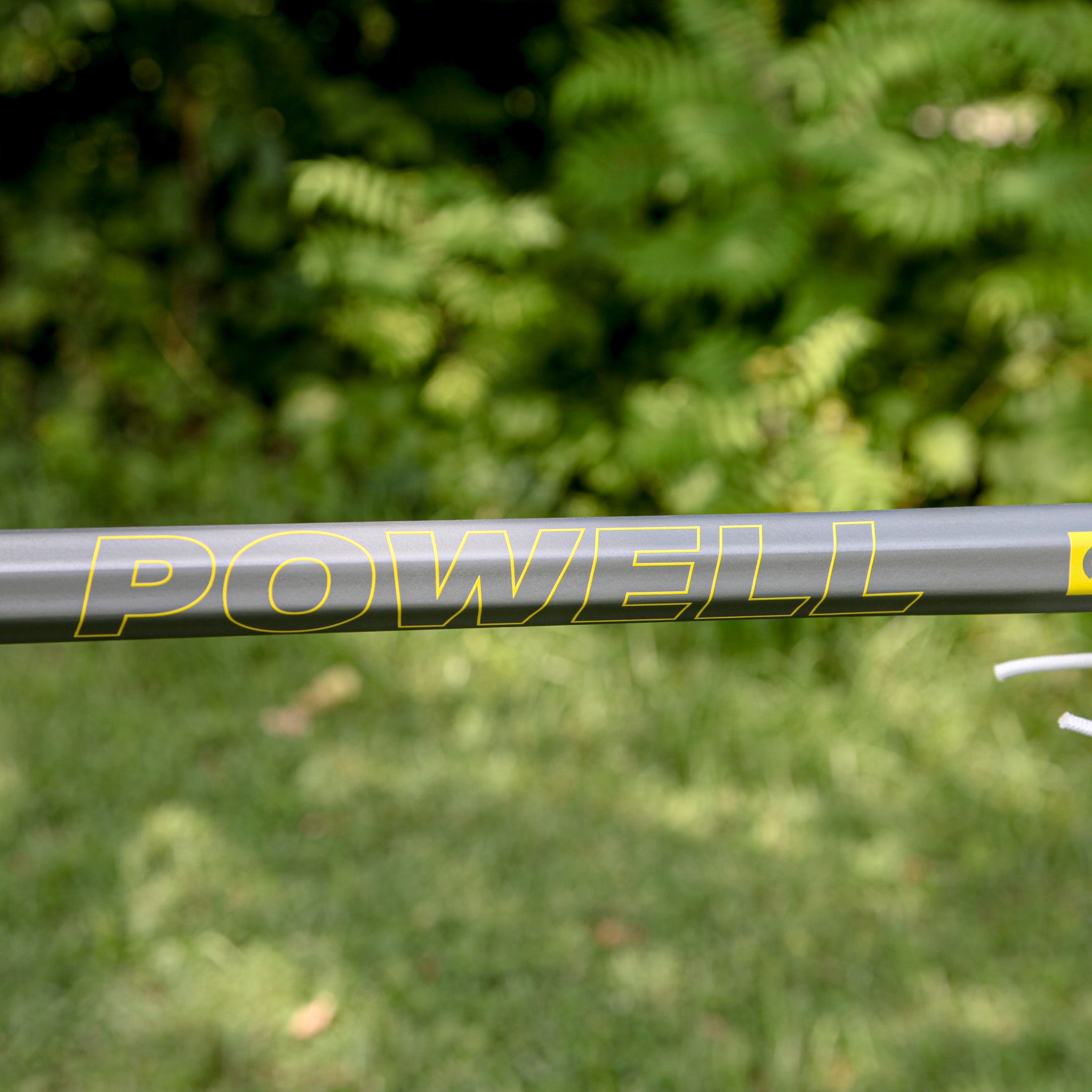 Pied Piper Women's Handle