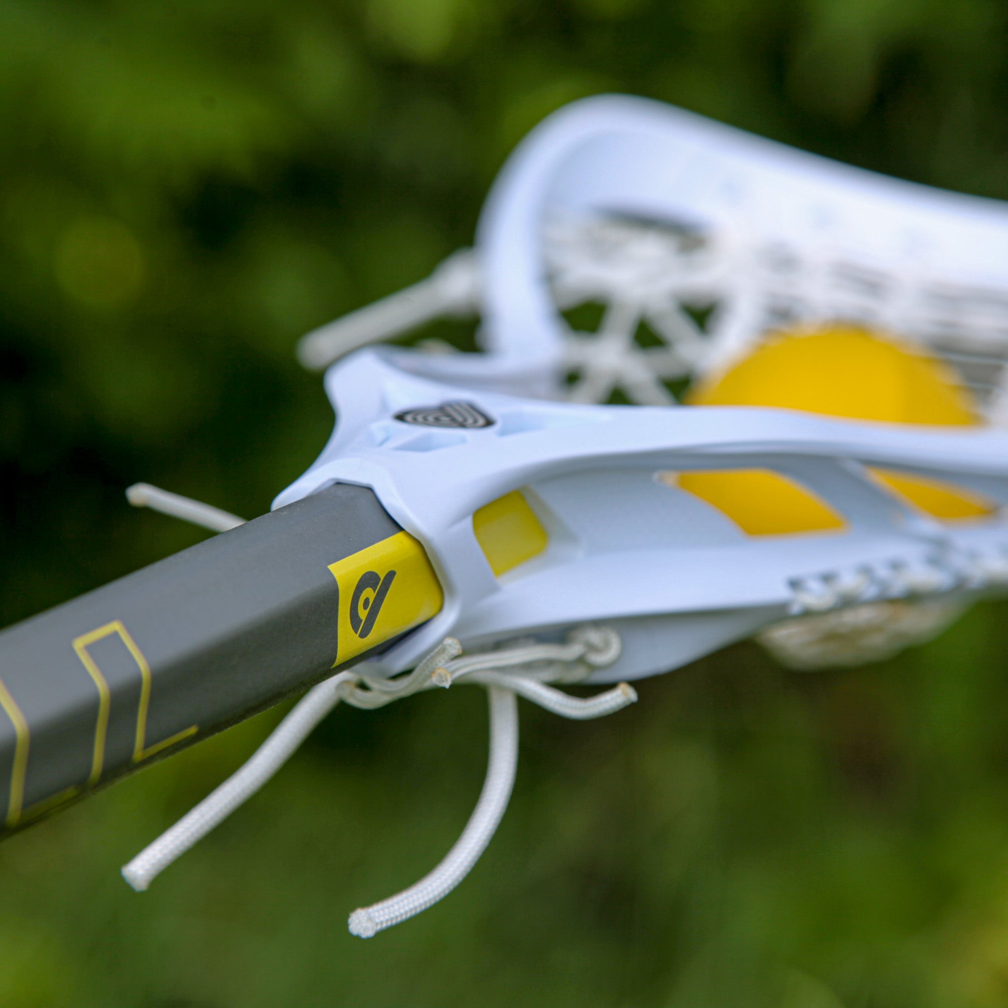 Pied Piper Women's Handle