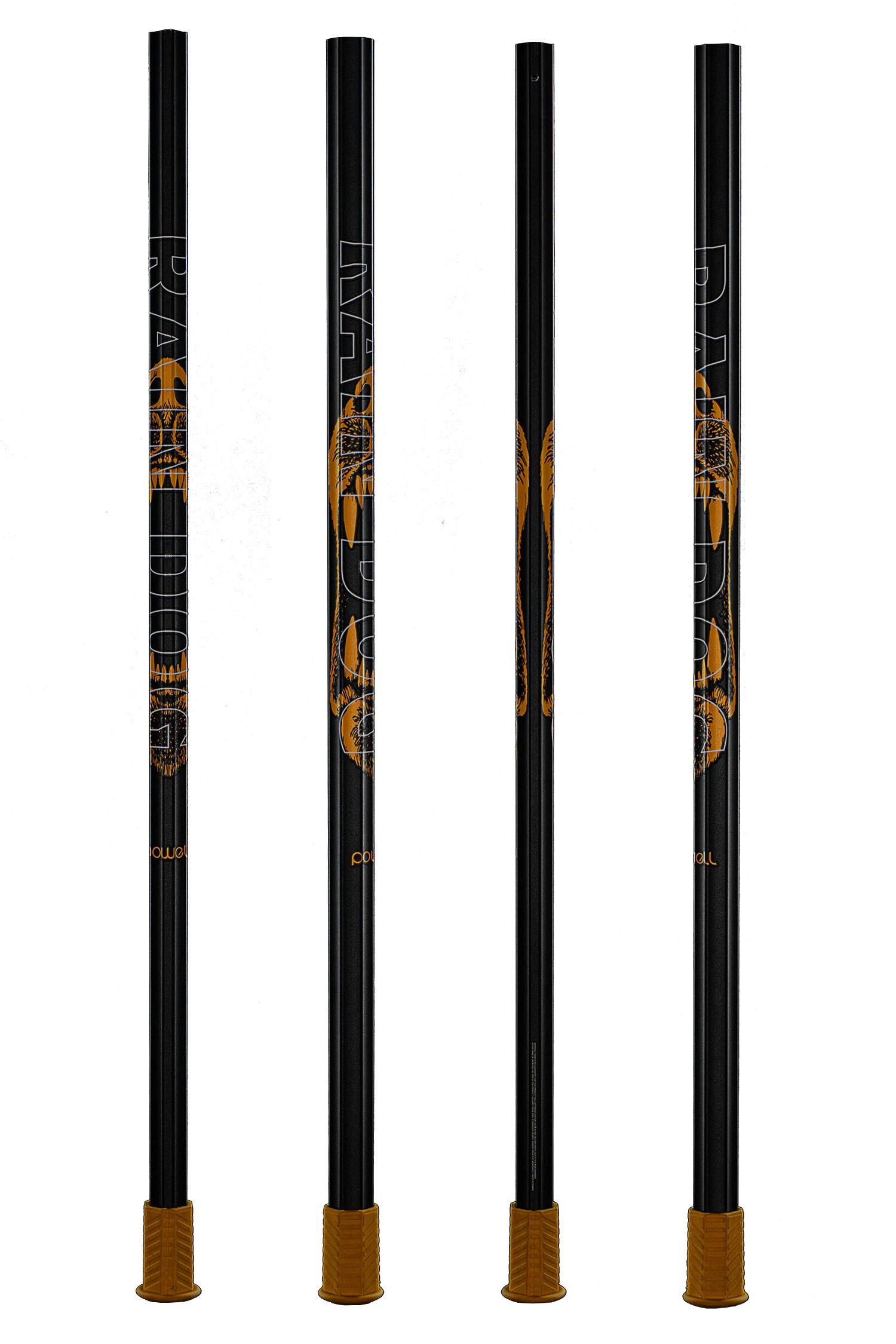 Rain Dog - Goldenrod