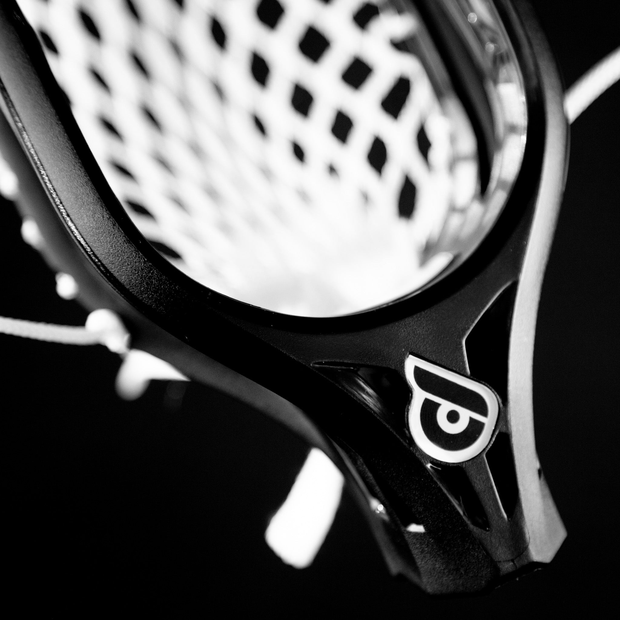 Pioneer II - Defense