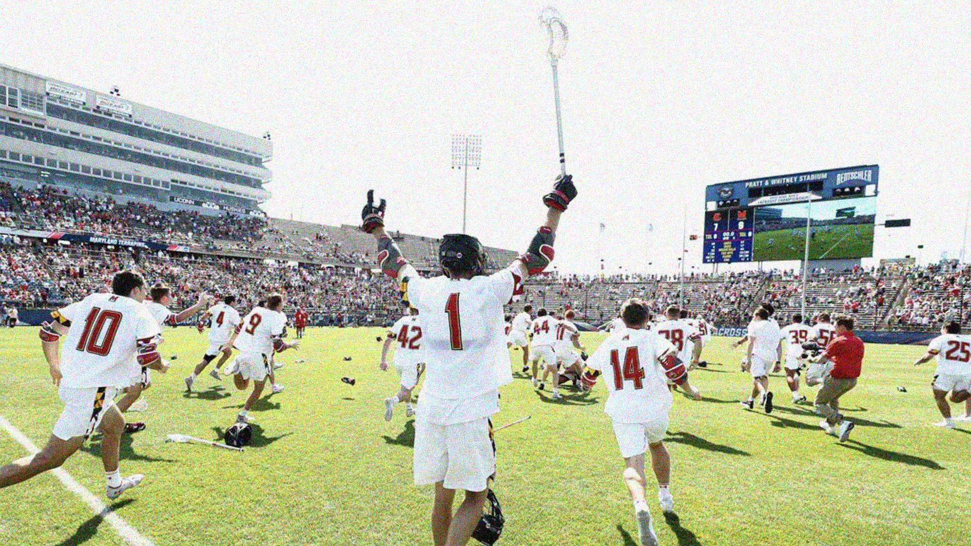Why We Love College Lacrosse
