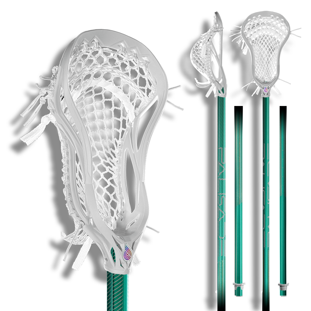 Palisade Custom