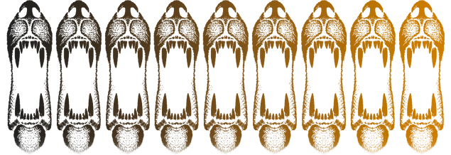 Specifications graphic
