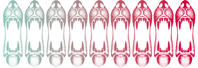 Specifications graphic
