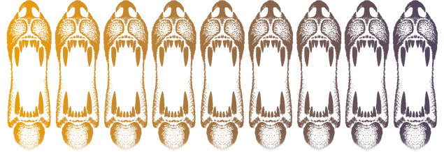 Specifications graphic