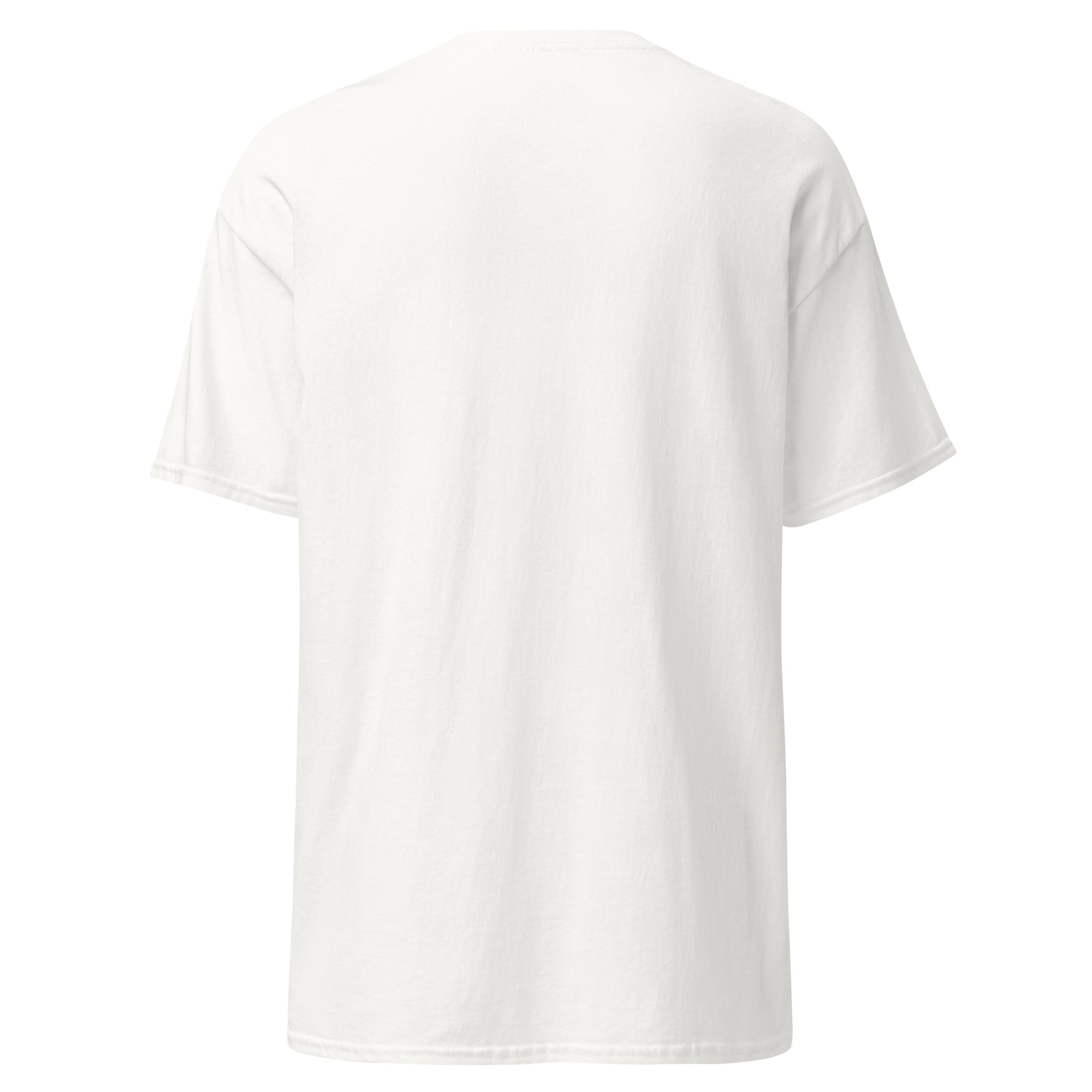 Valley Select Unisex classic tee